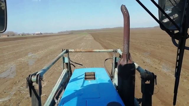 Первый выезд в поле. Культивация, готовлю почву под посев подсолнечника. МТЗ- 82.1 и КПС - 4.2