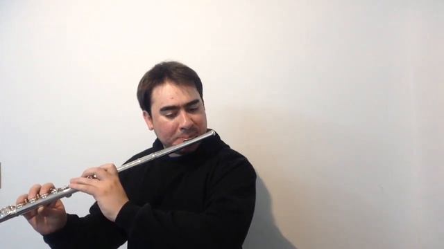 Muestra Yamaha yfl21s made in Japan смотреть онлайн