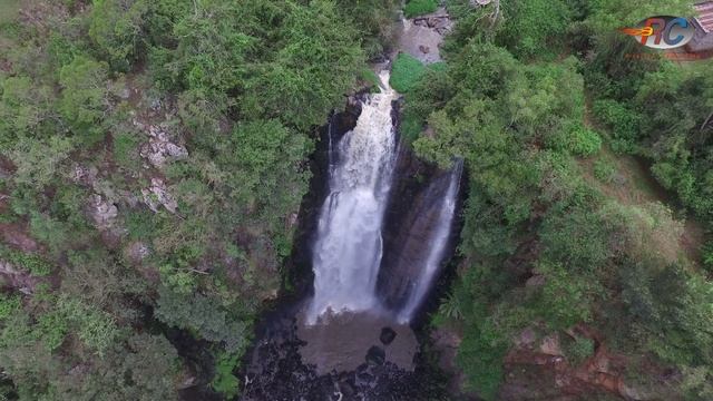 Rickisani - The Island Dream Mix.mp4 смотреть онлайн