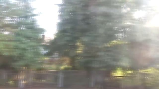 ЖД | Василевичи из окна поезда смотреть онлайн