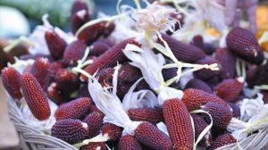 ЗЕМЛЯНИЧНАЯ КУКУРУЗА. ВОТ ТАК ЧУДЕСА!