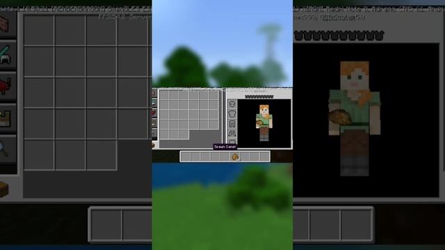 Будут ли добавлены мешки в Minecraft? смотреть онлайн