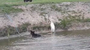 Соревнования по ловле рыбы на черничном хуторе .Кто победит ? Сын или отец? Молодость или пенсионер