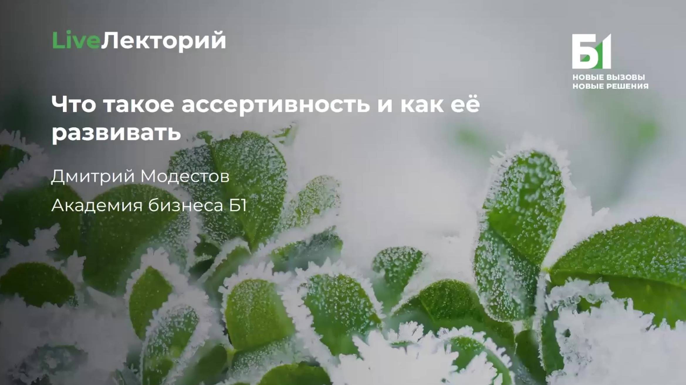 Вебинар "Что такое ассертивность и как её развивать" Академии бизнеса Б1