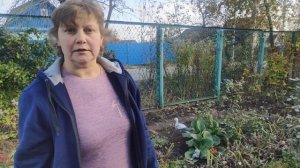 Выкапываем георгины