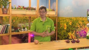 КОНСУЛЬТАНТ САДОВОДА 260