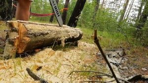 Брус из бревна по методу Адвоката Егорова