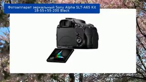 Фотоаппарат зеркальный Sony Alpha SLT-A65 Kit 18-55+55-200 Black обзор и отзыв