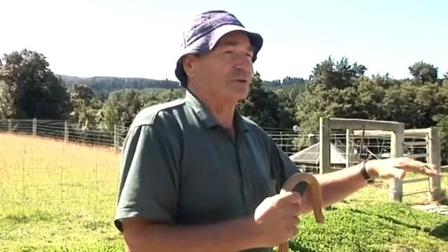 Андрей Стародым - Новая Зеландия. Животноводство. 2012 смотреть онлайн