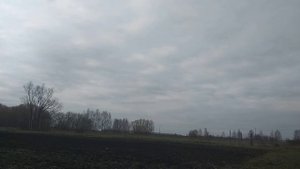 боронование огорода