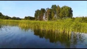 Четверо в лодке,не считая кошки.