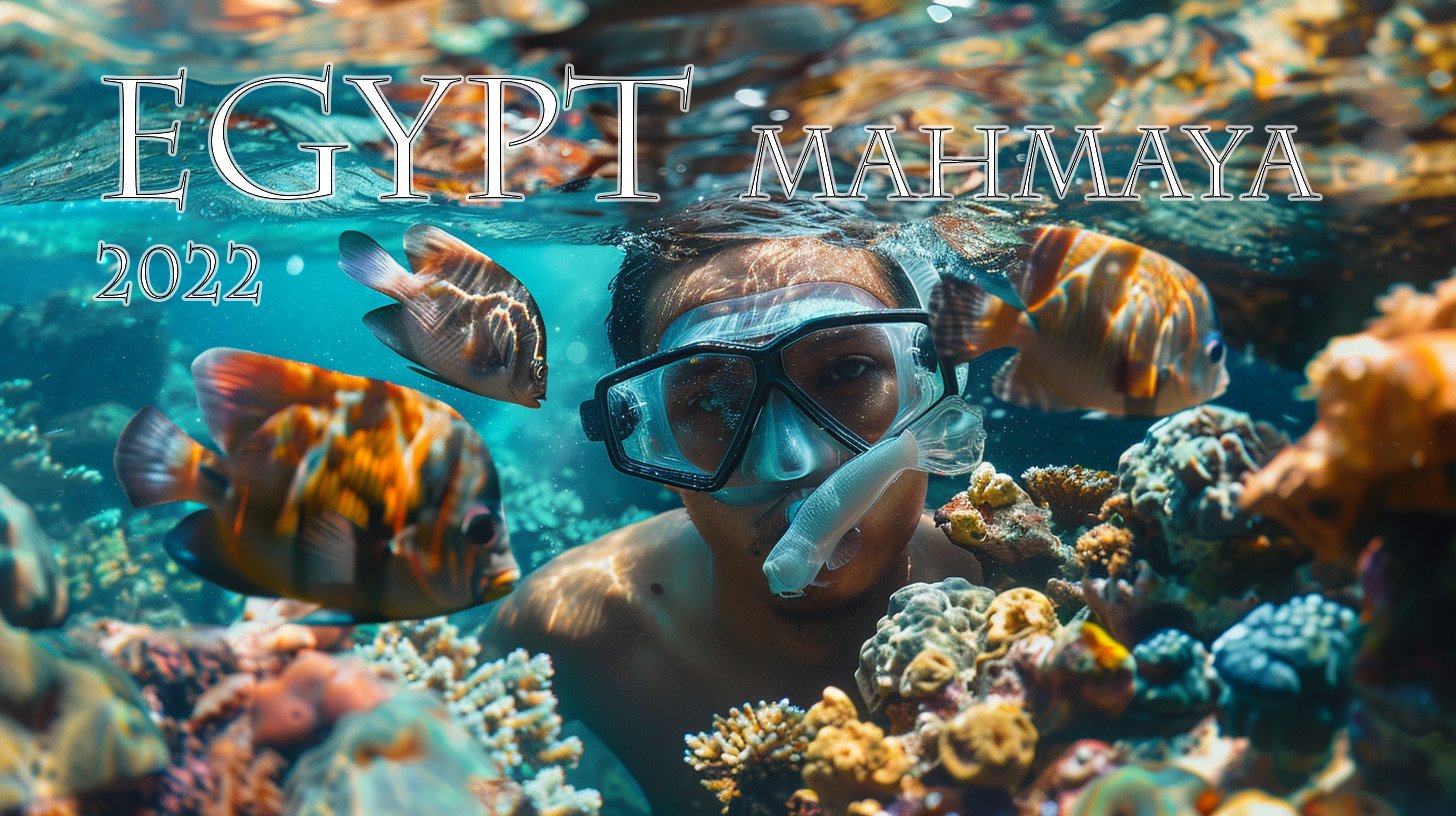 Кораллы. Снорклинг. Mahmaya. Egypt. 2022