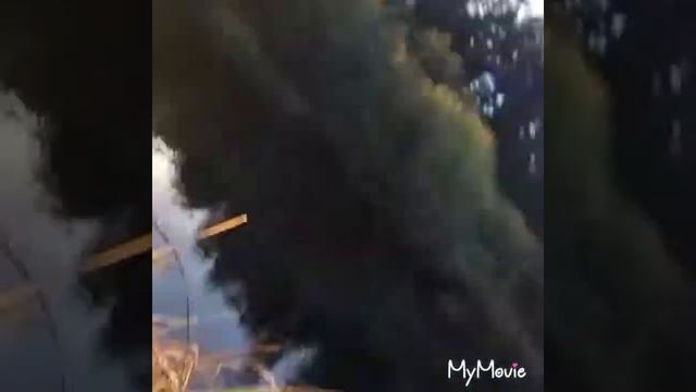 Рыбалка,щука,нарезка видео смотреть онлайн