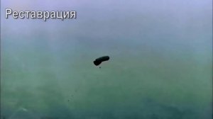 Хроника: Первая мировая война - забытая война