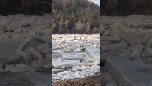 На реке Томь начался ледоход