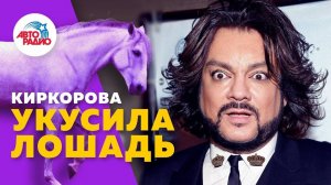 Филиппа Киркорова покусала лошадь