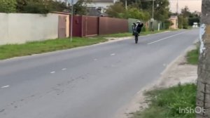Стант на питбайке BSE 125 ph10 stunt❤️?