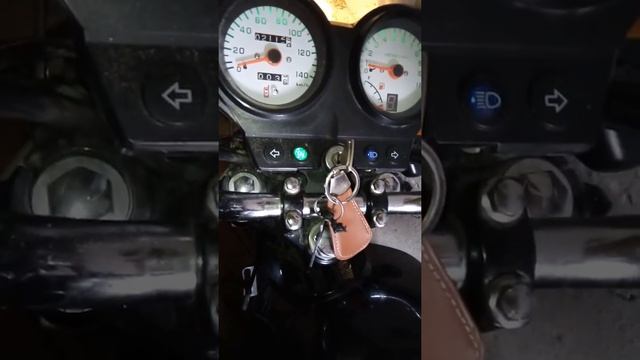 Обзор на регул мото смотреть онлайн