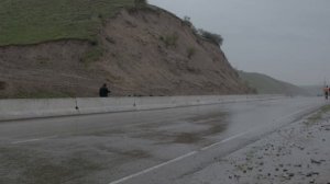 Пастухи в горах Газалкента | Цветущий миндаль