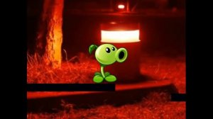 ПОДСОЛНУХ ЕХЕ!