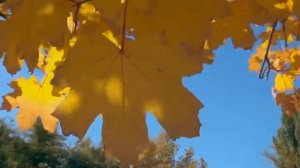 "ОСЕНЬ... ОБСЫПАЕТСЯ ВЕСЬ НАШ БЕДНЫЙ САД." РОМАНС НА СЛ. АЛЕКСЕЯ ТОЛСТОГО. МУЗ.ТАТЬЯНЫ УСЕНКО.