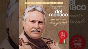 Un amore così grande