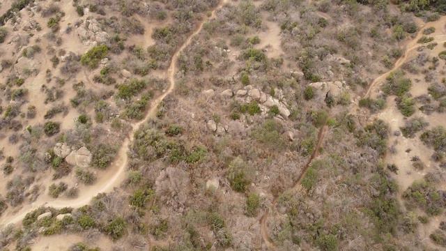 Lo varas San Carlos смотреть онлайн