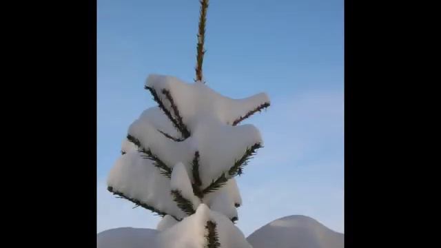 Таруса Зима смотреть онлайн