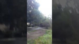 Облака очень низко летят!!!