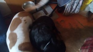 вполне удобно)