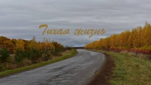 Тихая жизнь
