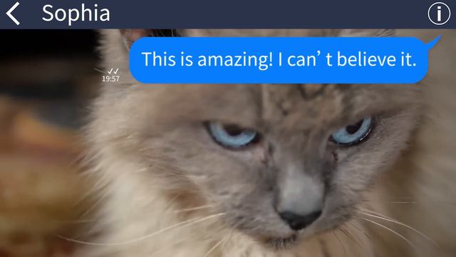 【Apple】High school sweetheart and I move to the big apple chasing our dream. After she cheats... смотреть онлайн