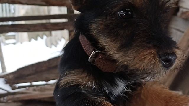 ??? смотреть онлайн