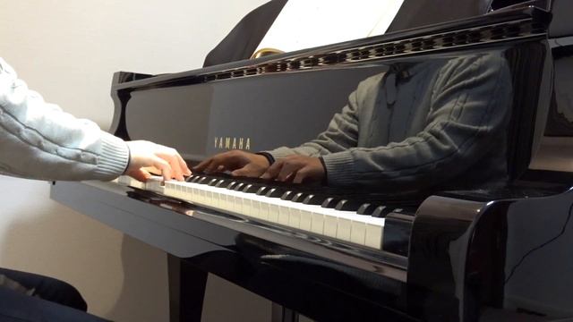Chopin Mazurka Op30-1 смотреть онлайн