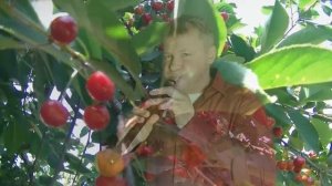 (Армянский дудук).ЦАХКАЦ БАЛЕНИ-ВИШНЕВОЕ ДЕРЕВО