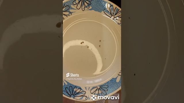 ТОМАТ ОМАНА ОРАНЖ. ПОСАДКА НА РАССАДУ. ОГОРОД НА КУБАНИ. shorts# смотреть онлайн