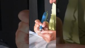 Холмогоры. Резьба по кости. (мастер-класс)