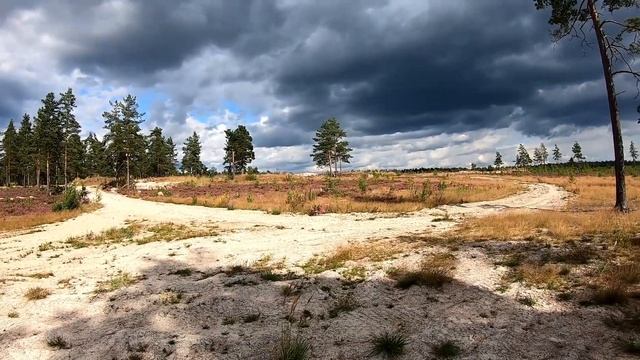 DIRTY DAYS 2019. День первый. Хард прохват. Грязь. Стадион. Husqvarna fe 350. KTM EXC 300 смотреть онлайн