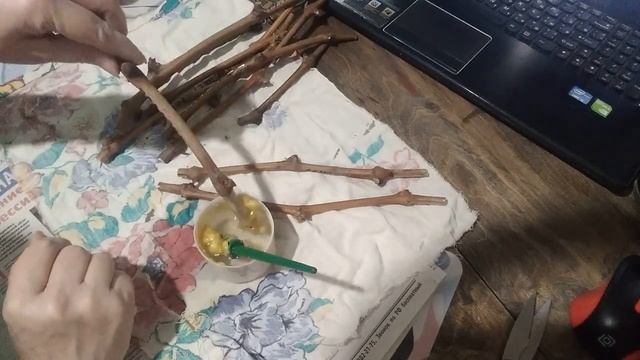 Укореняю черенки винограда в газете/ Виноград на даче/