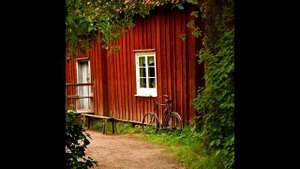 Что такое шведская семья?