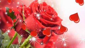 Футаж Романтический HD Footage Romantic