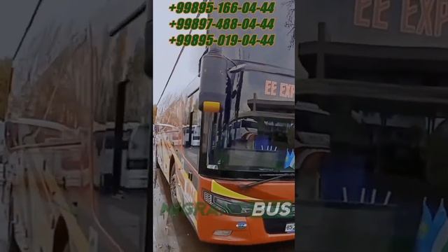 ТАШКЕНТ АЛМАТЫ АВТОБУС 951660444 974880444 950190444  #MIGRANT_BUS_Прямой_Международный_Рейс