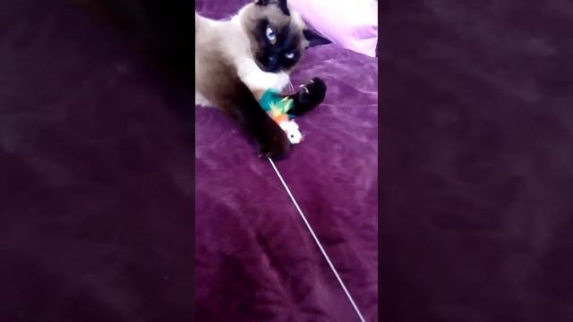 Не знаю был от лет рог норка дня смотреть онлайн