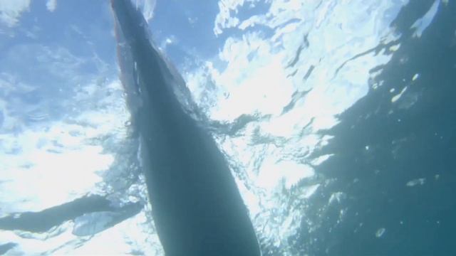 Kayak inflable ITIWIT, navega donde quieras. смотреть онлайн