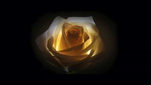 Теун Марез о смирении и безупречности