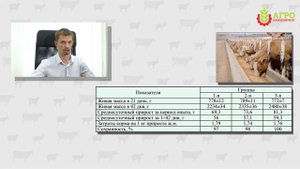 Чем можно заменить сою и удешевить производство корма.