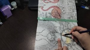 Челлендж Сюрприз в шкатулке/ совместное раскрашивание/ раскраски антистресс