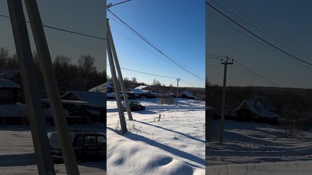 Продаётся земельный участок 18 соток в деревне Старинки,около деревни Плеханы, Александровский райо