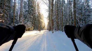 Катание на лыжах у деревни Корта | Республика Марий Эл