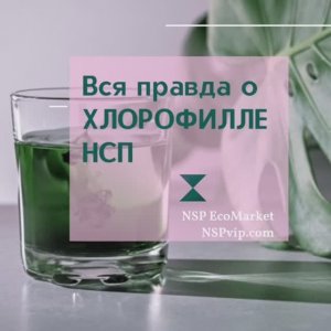Вся правда о Жидком Хлорофилле